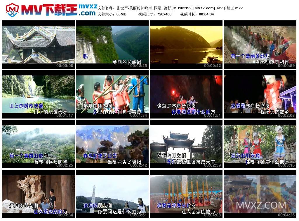 张世平-美丽的长岭岗_国语_流行_MD102192